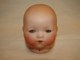 Vintage A M 341 / 2 German Porcelain Bisque Doll Head Boy Face Round Head Part
