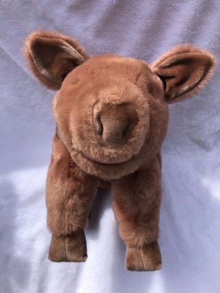 Gund Piggaletto Pig Featured In Ad 1984 Collectors Classic 24 " Limited Edition