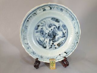CHINESE MING PERIOD BLUE & WHITE HORSE PLATE DISH - MUSEUM PROVENANCE 2