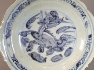 CHINESE MING PERIOD BLUE & WHITE HORSE PLATE DISH - MUSEUM PROVENANCE 8