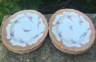 Seven Antique Meissen Porcelain Soup Bowls With Insect And Flower Decoration