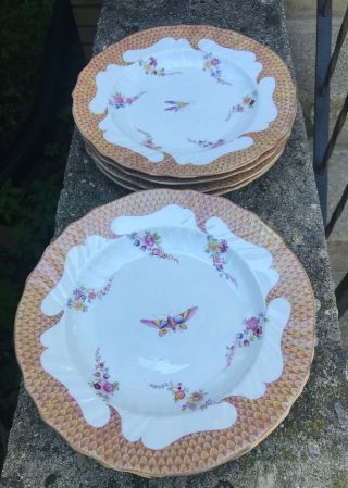 Seven Antique Meissen Porcelain Soup Bowls with Insect and Flower Decoration 2