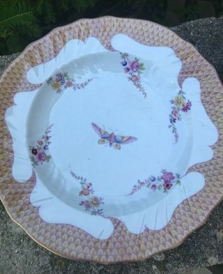 Seven Antique Meissen Porcelain Soup Bowls with Insect and Flower Decoration 4