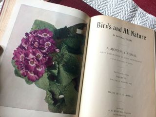 Set/4 1898 - 1902 Antique BIRDS & NATURE Books Color Litho Prints ILLUSTRATED 4