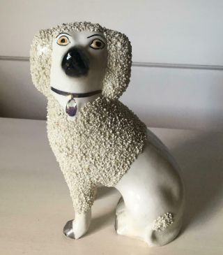 Antique Staffordshire Poodle Dog Figurine 6.  5 "