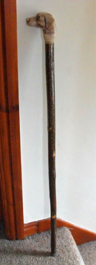 Vintage Rustic Walking Stick/cane With Pointer Dog 