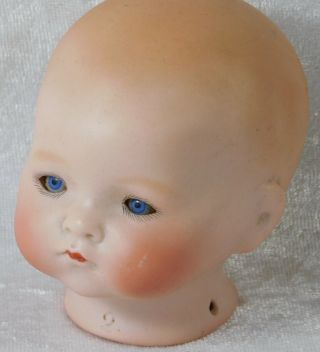 Atq Armand Marseille Germany Baby Phyllis Moving Blue Eye Bisque Doll Head