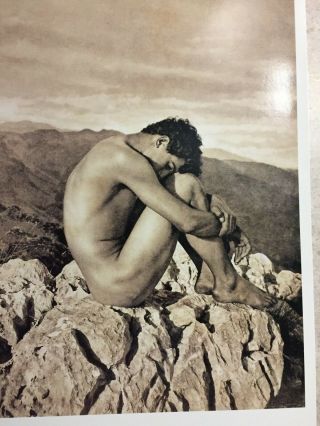 Wilhelm von Gloeden male naked nude boys poster book gay interest HTF fast ship 7