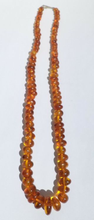 NATURAL OLD ANTIQUE BUTTERSCOTCH EGG YOLK BALTIC AMBER NECKLACE 23,  09 grams. 2