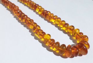 NATURAL OLD ANTIQUE BUTTERSCOTCH EGG YOLK BALTIC AMBER NECKLACE 23,  09 grams. 3