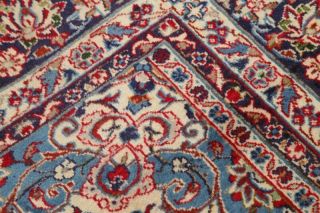 Vintage Traditional Floral Najafabad Oriental Area Rug Hand - Made Carpet 10x13