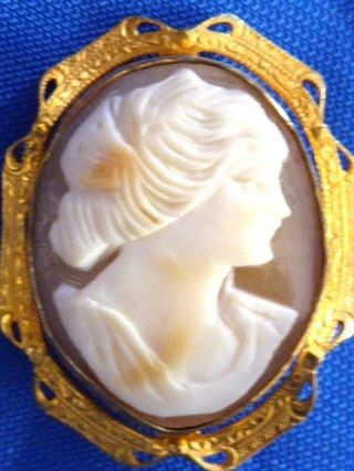 Victorian Antique Hand Carved Shell Cameo Gold Plated Frame Pin Cameo