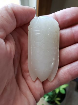 Old Chinese White Jade Cicada Very Well Carved.  Aprox 3.  5 Inches