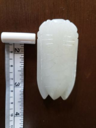 Old Chinese White Jade Cicada very well carved.  aprox 3.  5 inches 2