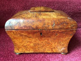 Antique Burl Wood Tea Caddy 19th Century
