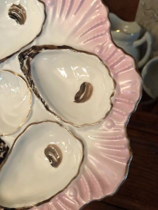 Vintage Antique French Oyster Plate Pale Pink