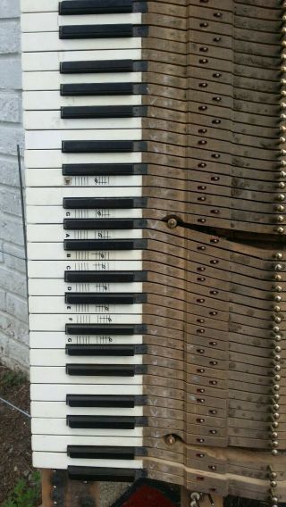 13 Antique Piano Keys For Arts / Crafts Undamaged