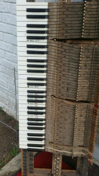 13 Antique Piano Keys for Arts / Crafts Undamaged 3