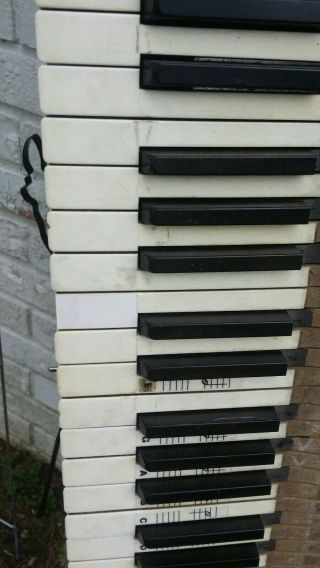 13 Antique Piano Keys for Arts / Crafts Undamaged 4