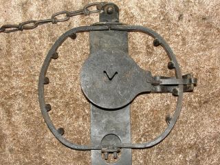 14 Oneida Victor Antique Trap with TEETH Newhouse Coyote Beaver Wolf Lion Y51 2