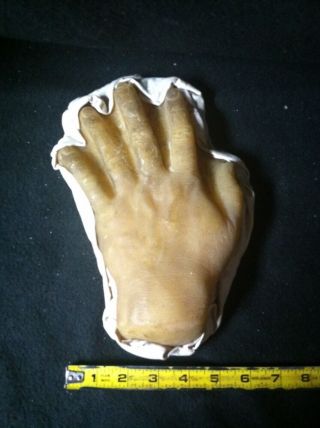 Antique Wax Anatomical Model Human Hand