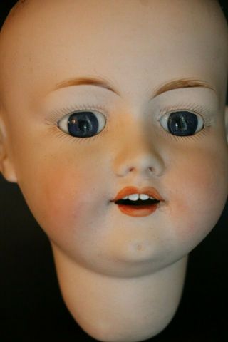 Antique Morimura Brothers 11 3/4 In Circ.  Head,  Japanese Bisque Doll Head