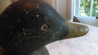 Antique Duck Decoy Carved Wood old Mallard Duck Decoy Hunting Decoys glass eye 7
