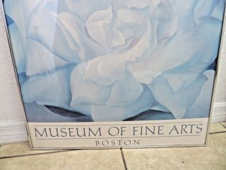 Vintage Museum of Fine Arts Boston Georgia O ' Keeffe White Rose w Larkspur poster 3