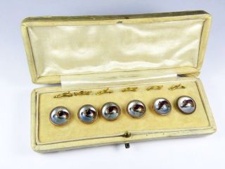 Cased Set Of 6 Antique English Gilt Essex Crystal Race Horse Buttons Studs C1890