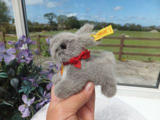 Steiff Hoppy Rabbit,  Ear Button & Tags Id 1501/09 Grey Vintage German Toy Bear
