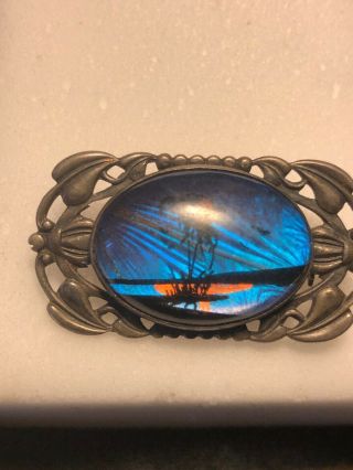 Vintage 2 Inch Antique Sterling Frame Butterfly Wing Brooch Signed 4