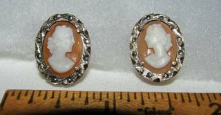Antique 800 Silver Marcasite Shell Cameo Ladies W Necklaces Screw Back Earrings