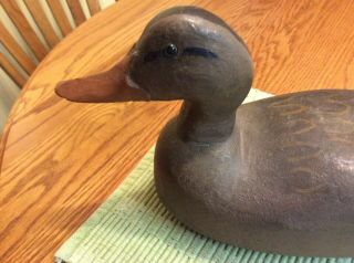 Antique Hand Carved & Painted Illinois River ? Hen Mallard Duck Decoy Glass Eye 3