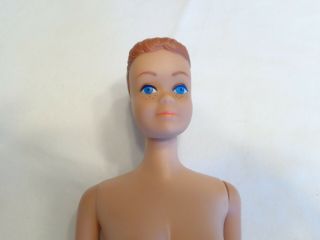Vintage Barbie Fashion Wardrobe Midge Nm Head Sl Midge/barbie Body Exc Plus
