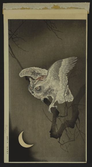 Koson Ohara Shoson Japanese Color Woodblock Print Owl & Crescent Moon