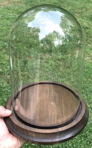 Large Vintage 12½” Glass Cloche Display Dome w/ Walnut Wood Base 2
