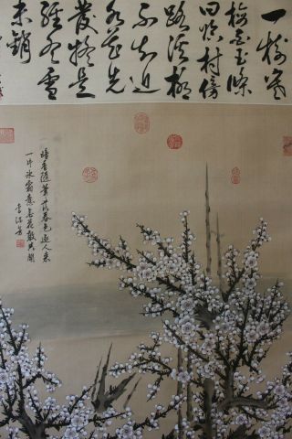 Q02e9 白梅 Gorgeous White Ume Plum Tree Chinese Hanging Scroll