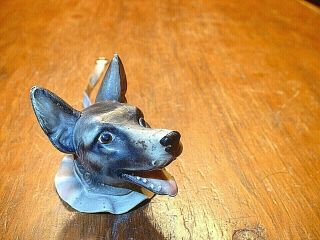 Rare Antique German Celluloid Shepherd Dog Figural Tape Measure