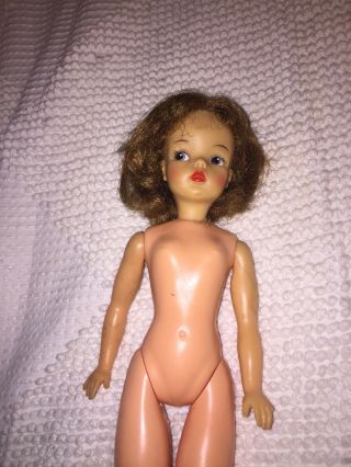 Vintage Tammy Doll 12 " By Ideal Toy Corp Bs - 12 - 1 Good High Color Doll