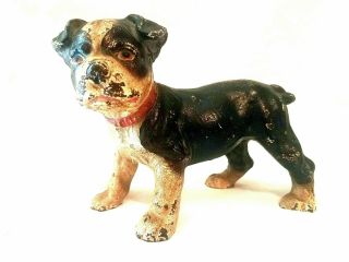 Look Antique Hubley U.  S.  A.  Cast Iron Boston Terrier Pup Rare