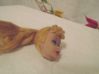 Vintage 1960 Blonde Ponytail Barbie Doll - - - head only - Slight stain 3
