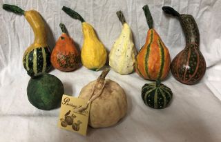 Bethany Lowe S/ 9 Thanksgiving Fall 2 " 7 1/2 " Paper Mache Gourds Tj9217
