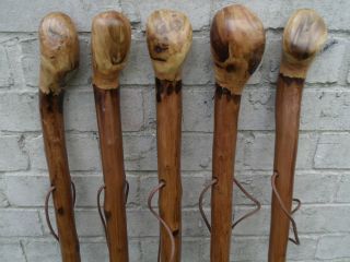 Chestnut Wood Walking Stick Cane Root Ball Knob Rustic Thick Walking Cane 46 "