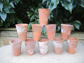 10 Old Hand Thrown Terracotta Plant Pots 2.  25 " Seedling Pots Long Toms (300f)