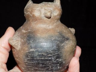 Pre - Columbian Globular Animal Effigy Pot,  Authentic Mesoamerica,