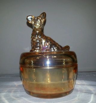 Antique Jeannette Glass Iridescent Marigold Scottie Dog Powder Jar W/lid 1920 