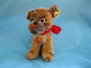 Vintage Steiff German Mopsy Dog Mohair Animal Jointed Neck With Button & Tags