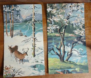 Vintage Paint By Numbers Spring Winter Scenes 10 " X 18 " Cherry Blossoms Art Set
