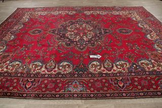 Traditional Floral Old Rug Hand - Knotted Wool Oriental Living Room Carpet 10 x 13 12