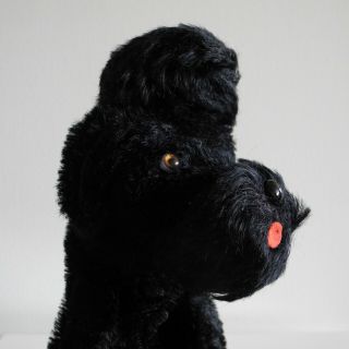 STEIFF 1955 - 66 Snobby Poodle Dog Hand Puppet Vintage German Mohair Toy Puppy 4